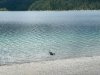 eibsee-juli2023-20-IMG_3082