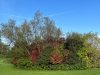 IMG_8037