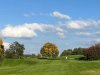 IMG_8041