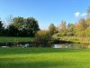 IMG_8059-1