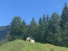 IMG_5916