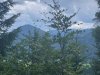 IMG_5920