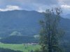 IMG_5921