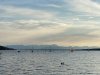 IMG_6787