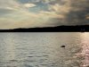IMG_6788