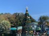 IMG_1515