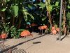 IMG_1521