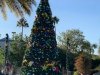 IMG_1684