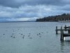IMG_3364
