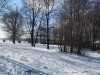 IMG_7849