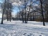 IMG_7850