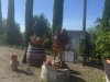 toskana-IMG_8809
