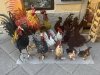 toskana-IMG_8829
