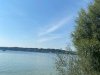 IMG_6406