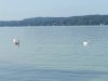 IMG_6442