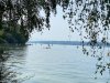 IMG_6472