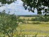 IMG_0756