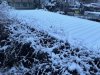 IMG_4479