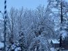 IMG_4481