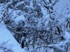 IMG_4482-1