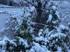 IMG_4483