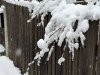 IMG_4486-1