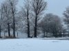 IMG_4489-1