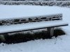 IMG_4490
