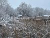 IMG_4501-1